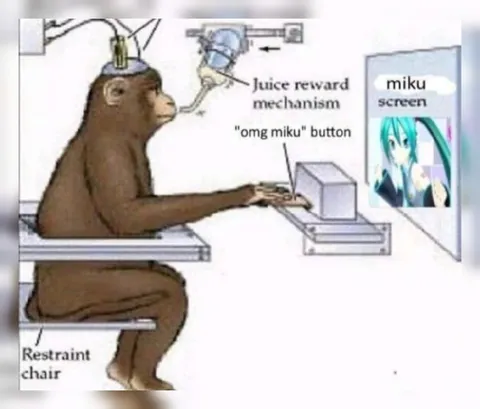Monkey Presses the Miku Button