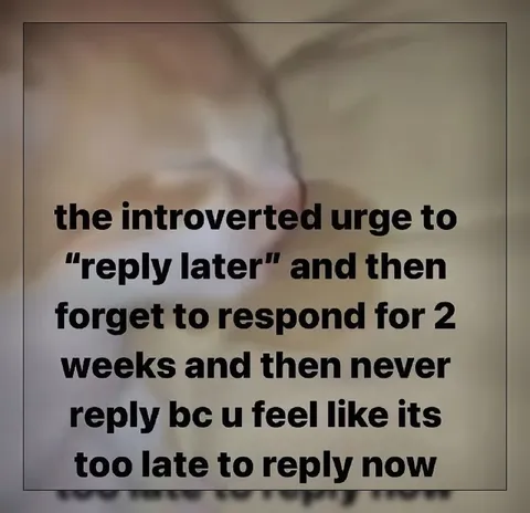 The Introvert Reply Spiral