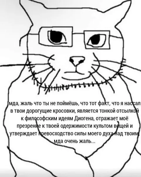 Кот оправдывает дорогие кроссовки