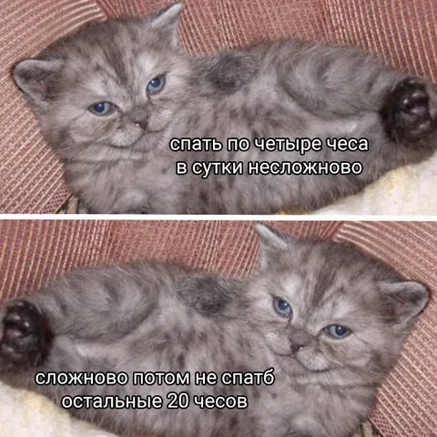 Спать по четыре часа