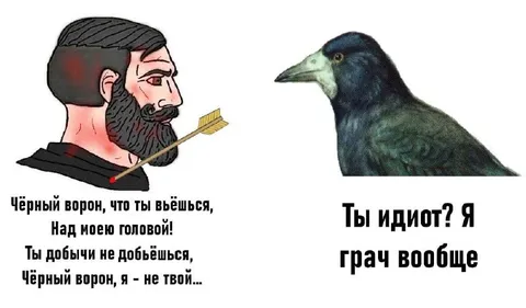Чёрный ворон и глупый грач