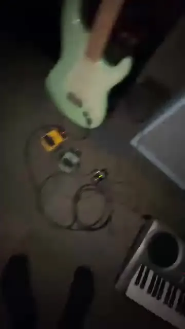 Cat Plays the Keyboard