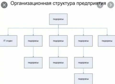 Организационная структура пидорасов