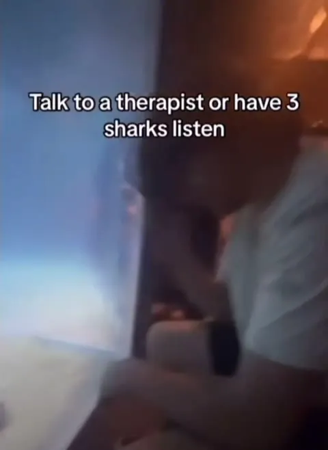 Three Sharks Listen Instead