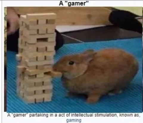 Gamer Intellectual Stimulation