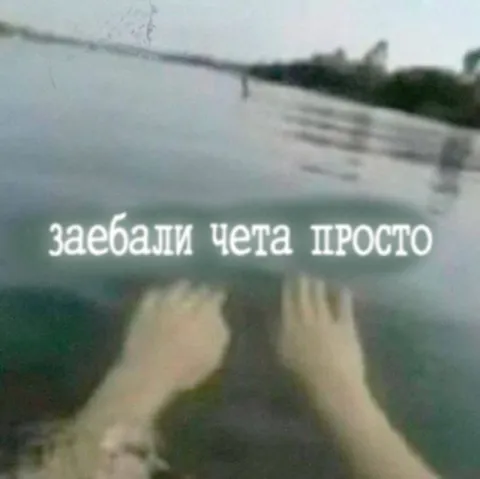Заебали чета просто