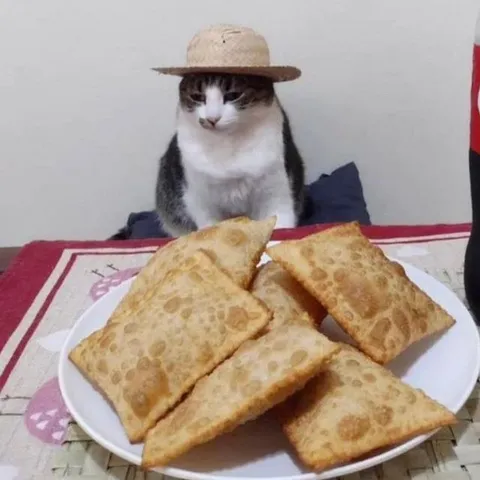 Кот охраняет тарелку пастелей