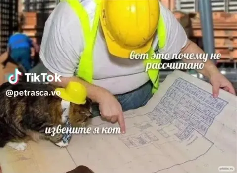 Извините, я кот на стройке