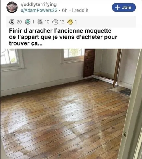 La découverte sous la moquette