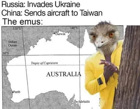 The Emus Are Watching Australia