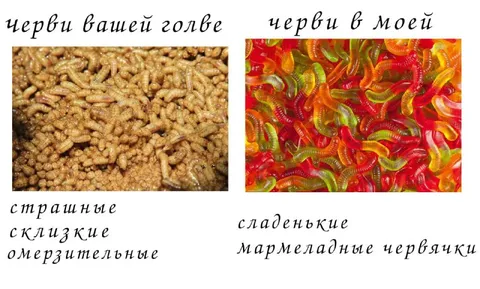 Черви в вашей голове и моей