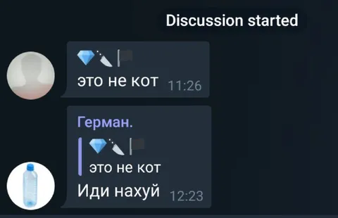 Это не кот, иди нахуй