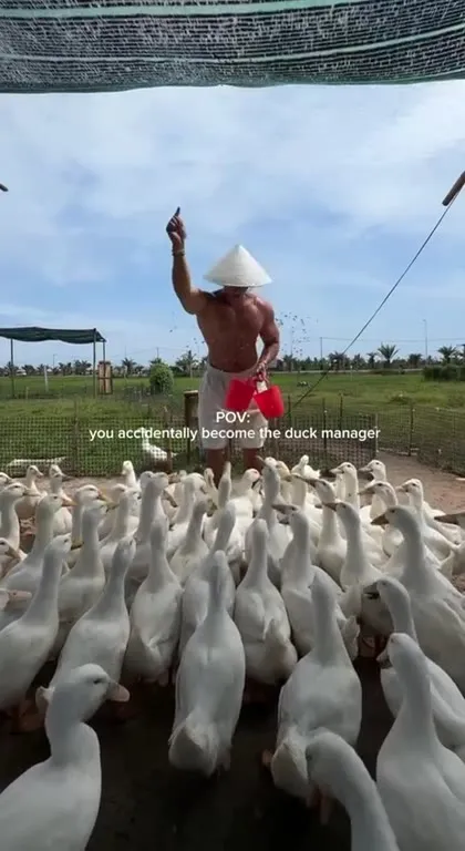 Accidentally Became the Duck Manager