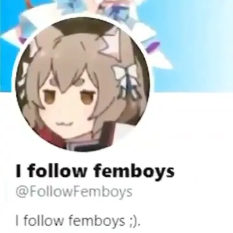 I Follow Femboys Follows You