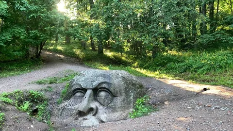Каменное лицо в лесу
