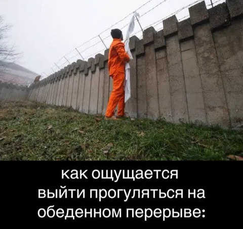 Выйти погуляться на обеденном перерыве