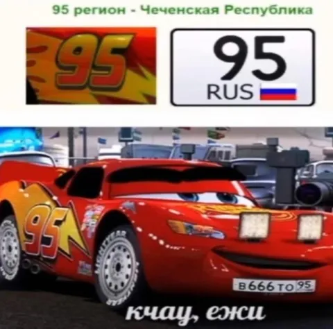 Каччу, ежи на 95 регионе