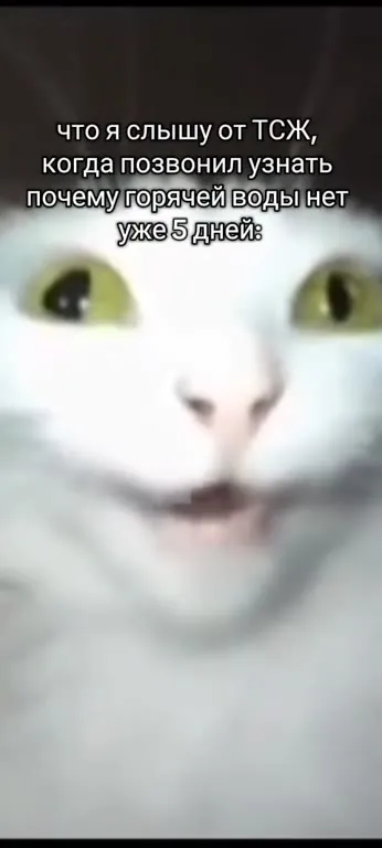 Что слышу от ТСЖ