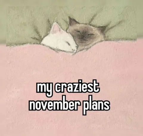 My Craziest November Plans