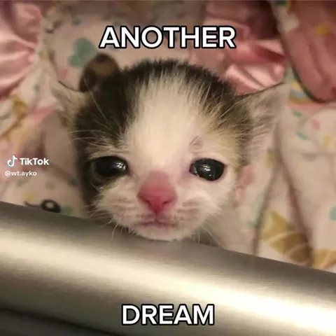 Another Dream Wild Inside Me