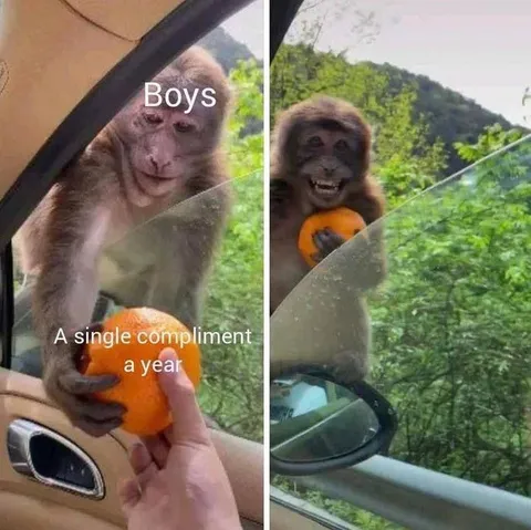 Boys Get One Compliment