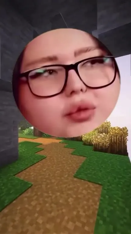 Гигантское лицо в Minecraft