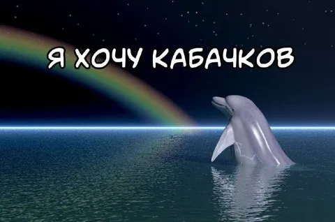 Дельфин хочет кабачков