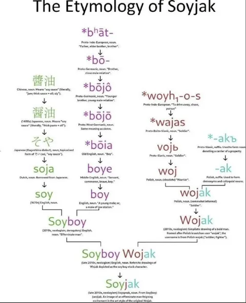 The Etymology of Soyjak