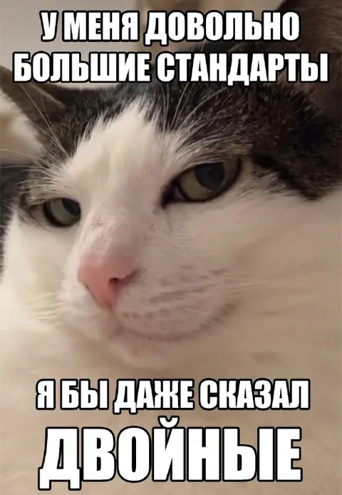 У меня двойные стандарты