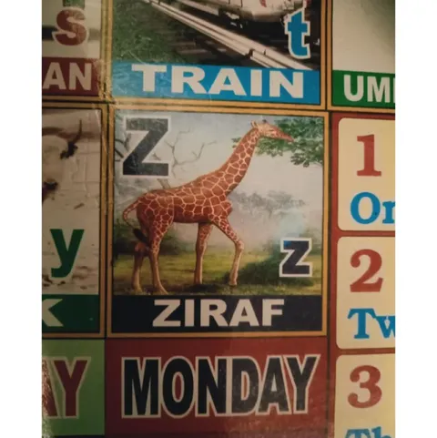 The ZIRAF Is Here