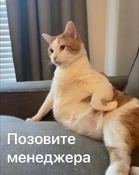 Позовите менеджера