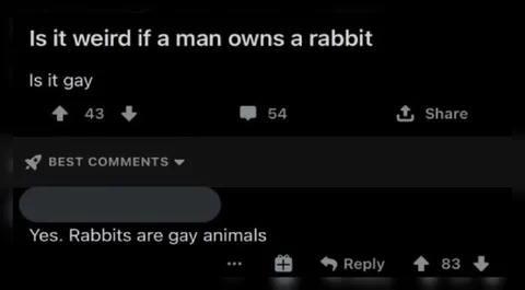 Are Rabbits Gay Animals