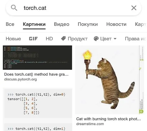 torch.cat с горящим факелом