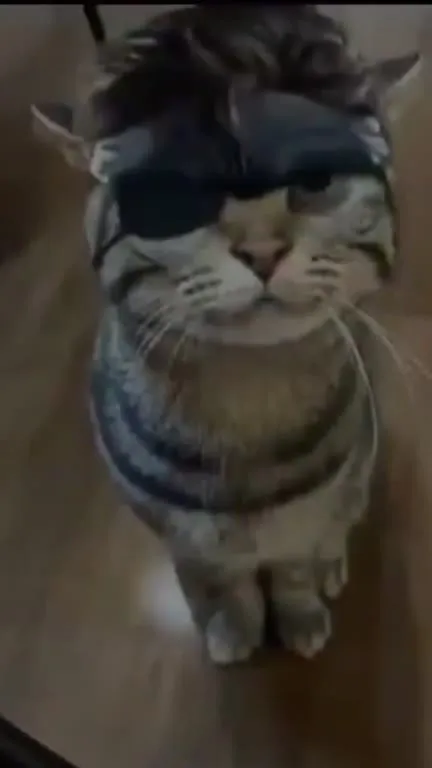 Metal Gear Snake Cat