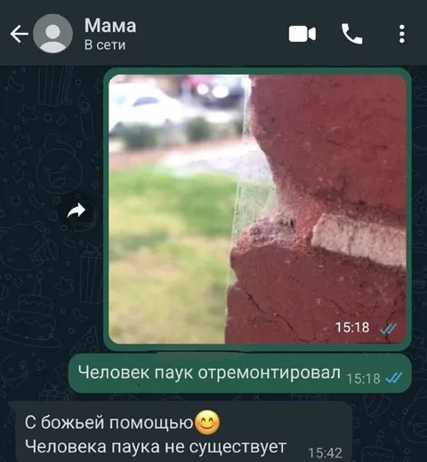 Человек-паук отремонтировал стену