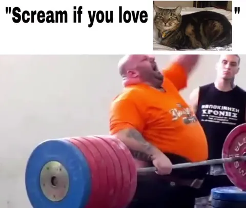 Scream If You Love Cats