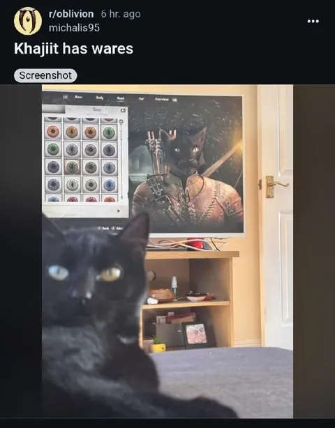 Khajiit Has Wares