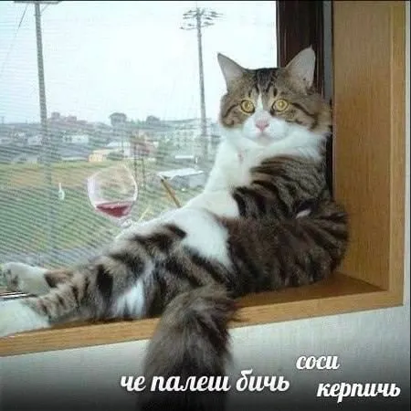 Че палеш бичь