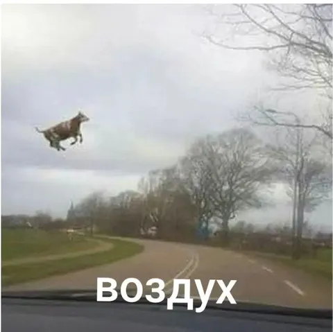 Коза летит по воздуху