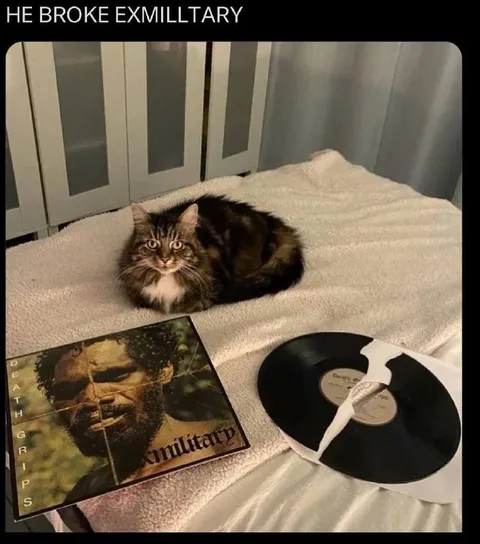 Cat Breaks Death Grips Vinyl