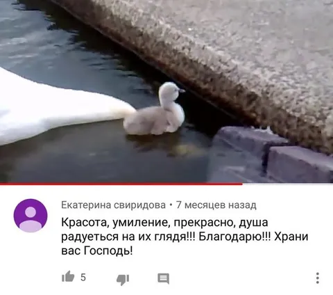 Красота, умиление, прекрасно