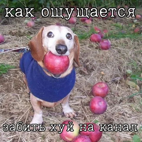 Как ощущается забыть хуй на канал