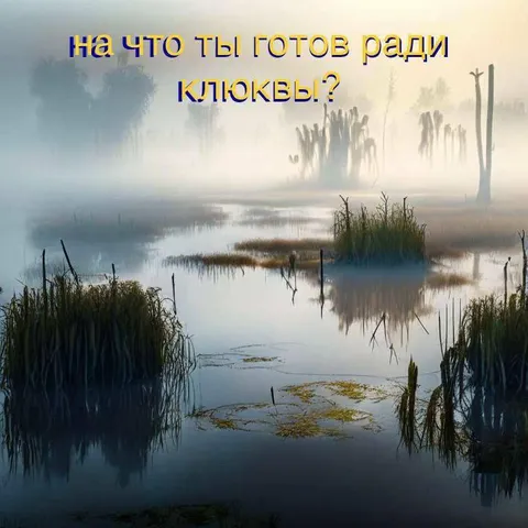 На что ты готов ради клюквы?