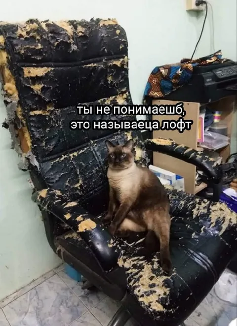 Кот и кресло в стиле лофт