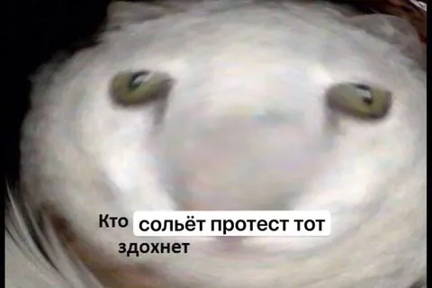 Кто сольёт протест тот здохнет