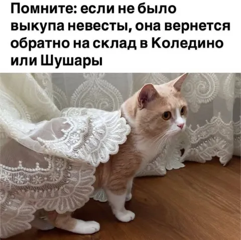Невеста возвращается на склад