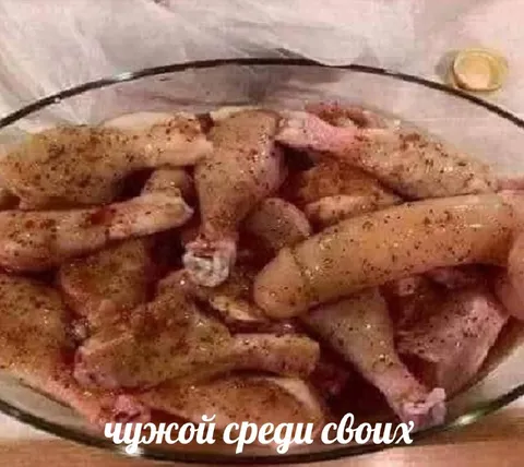 Чужой среди своих