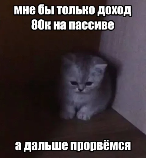 Доход 80к на пассиве
