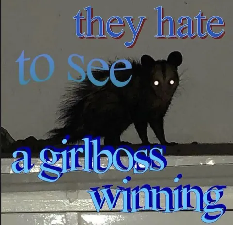 They Hate to See a Girlboss Winning