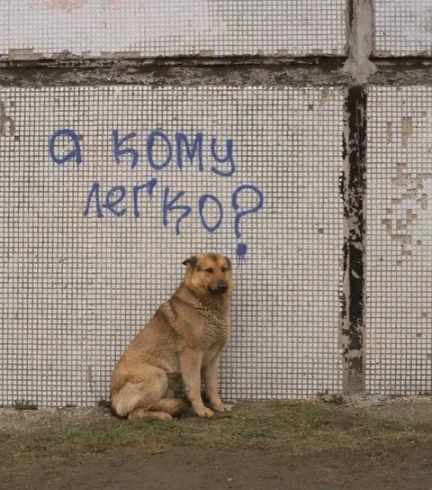 О кому легко?